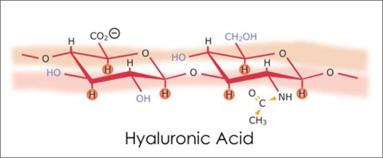 Hyaluronic Acid